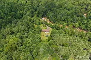 528 Baccus Siding Rd, Green Mountain, NC 28740 - Photo 30
