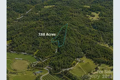 98 Hosta Drive, Sylva, NC 28779 - Photo 4