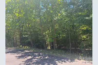 0 Desota Ridge #363, Rutherfordton, NC 28139 - Photo 6