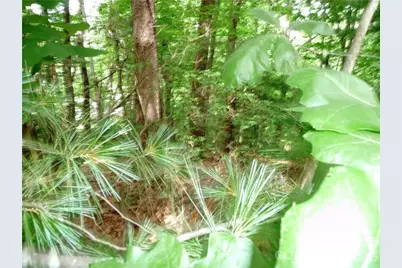 360 Kenmure Drive #4, Flat Rock, NC 28731 - Photo 4
