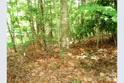 360 Kenmure Drive #4, Flat Rock, NC 28731 - Photo 2