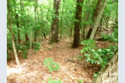 360 Kenmure Drive #4, Flat Rock, NC 28731 - Photo 1
