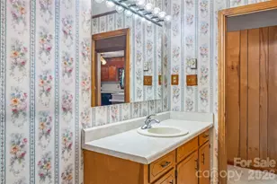 215 N Fork River Rd, Marion, NC 28752 - Photo 22