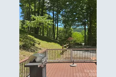 671 Trillium Lane, Mars Hill, NC 28754 - Photo 42