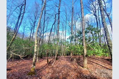 Tbd Skye Drive #803a & 803b, Pisgah Forest, NC 28768 - Photo 4