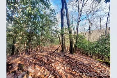 Tbd Skye Drive #803a & 803b, Pisgah Forest, NC 28768 - Photo 8