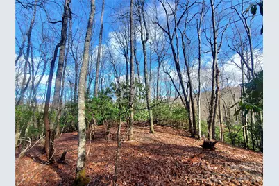 Tbd Skye Drive #803a & 803b, Pisgah Forest, NC 28768 - Photo 2