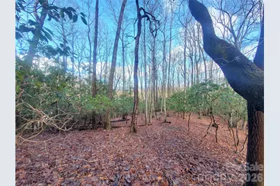 Tbd Skye Drive #803a & 803b, Pisgah Forest, NC 28768 - Photo 10