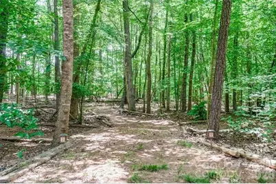 6025 Oakridge Court, Weddington, NC 28104 - Photo 44