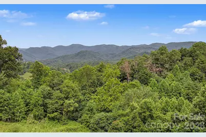 340 Earlys Mountain Road, Leicester, NC 28748 - Photo 28