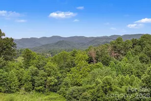 340 Earlys Mountain Rd, Leicester, NC 28748 - Photo 28