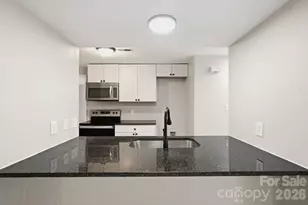 3719 Piney Grove Rd, Charlotte, NC 28212 - Photo 10