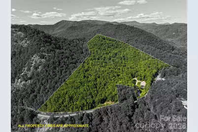 4017 Canada Road, Tuckasegee, NC 28783 - Photo 2
