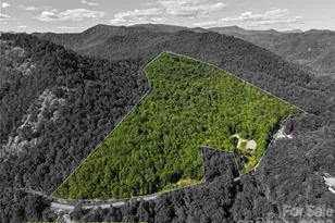 4017 Canada Rd, Tuckasegee, NC 28783 - Photo 2