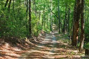 4017 Canada Rd, Tuckasegee, NC 28783 - Photo 10
