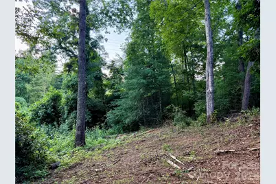 251 Cox Road, Pisgah Forest, NC 28768 - Photo 6