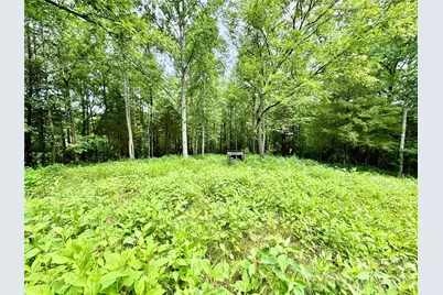 000 Butler Mill Road, Harmony, NC 28634 - Photo 14