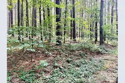000 Butler Mill Road, Harmony, NC 28634 - Photo 16