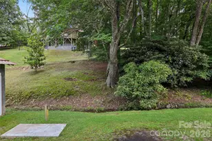 611 Reeves Cove Rd, Candler, NC 28715 - Photo 30