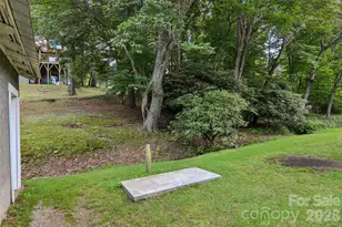611 Reeves Cove Rd, Candler, NC 28715 - Photo 26