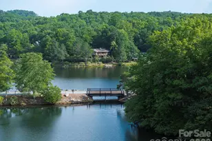 20 Guwa Ct, Brevard, NC 28712 - Photo 46