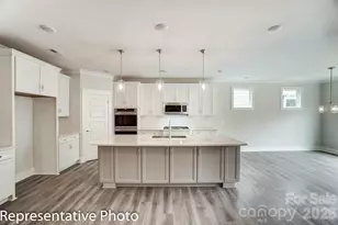 4014 Cedar Fls Dr, Waxhaw, NC 28173 - Photo 10