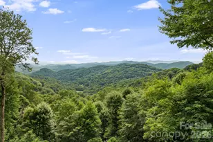 692 McKinney Gap Dr, Mars Hill, NC 28754 - Photo 38