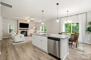 4005 Ruth Crk Ct, Charlotte, NC 28216 - Photo 12