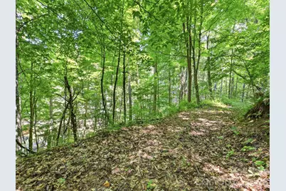 252 Big Stomp Road, Waynesville, NC 28786 - Photo 48
