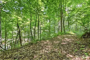 252 Big Stomp Rd, Waynesville, NC 28786 - Photo 48