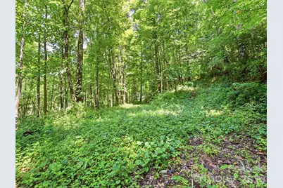 252 Big Stomp Road, Waynesville, NC 28786 - Photo 46
