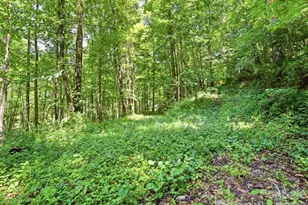 252 Big Stomp Rd, Waynesville, NC 28786 - Photo 46