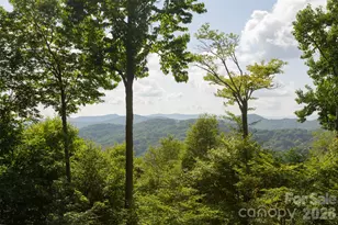 3182 El Miner Dr, Mars Hill, NC 28754 - Photo 10