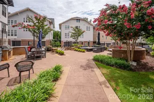 2401 Euclid Ave, Charlotte, NC 28203 - Photo 24
