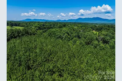 6783 Peniel Road, Tryon, NC 28782 - Photo 30
