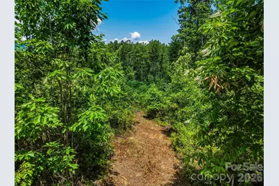 6783 Peniel Road, Tryon, NC 28782 - Photo 20