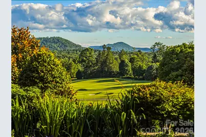7 Stuyvesant Road, Biltmore Forest, NC 28803 - Photo 18