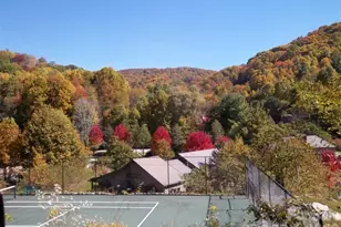 251 Village Ln, Mars Hill, NC 28754 - Photo 32