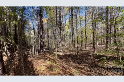 1120 Bearwick Court, Woodleaf, NC 27054 - Photo 42