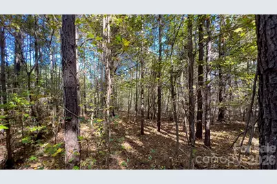 1120 Bearwick Court, Woodleaf, NC 27054 - Photo 22