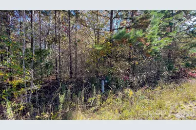 1120 Bearwick Court, Woodleaf, NC 27054 - Photo 30