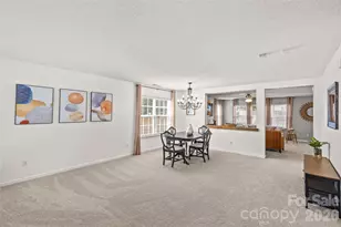7835 Cornflower Commons Dr, Mint Hill, NC 28227 - Photo 4