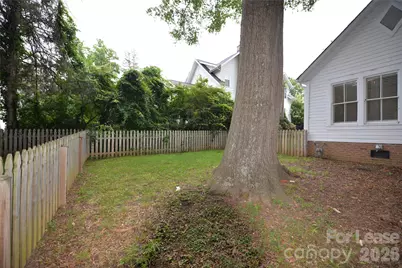 252 South Street, Davidson, NC 28036 - Photo 22