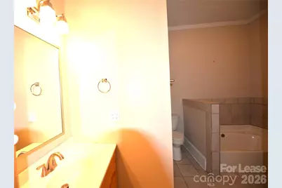 252 South Street, Davidson, NC 28036 - Photo 14