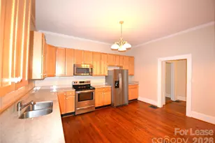 252 South St, Davidson, NC 28036 - Photo 8