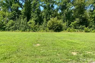 133 River Vlg Dr, Marion, NC 28752 - Photo 12