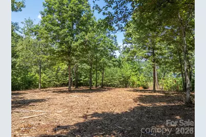 00 Doveridge Drive #66, Columbus, NC 28722 - Photo 12