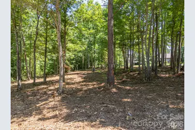 00 Doveridge Drive #66, Columbus, NC 28722 - Photo 14
