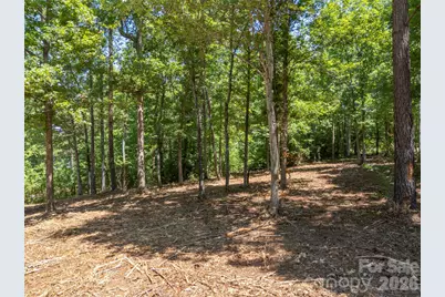 00 Doveridge Drive #66, Columbus, NC 28722 - Photo 16