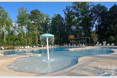 695 Belle Grove Drive, Clover, SC 29710 - Photo 38